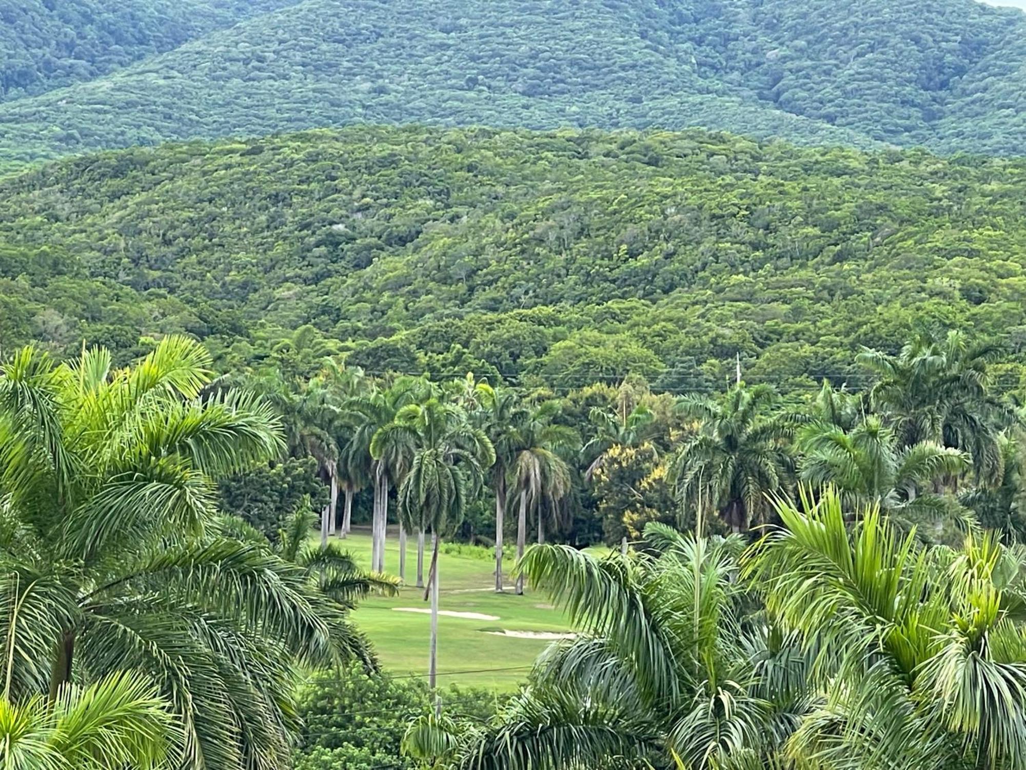 Marriott Seacastles E22, Montego Bay Lejlighedshotel Eksteriør billede