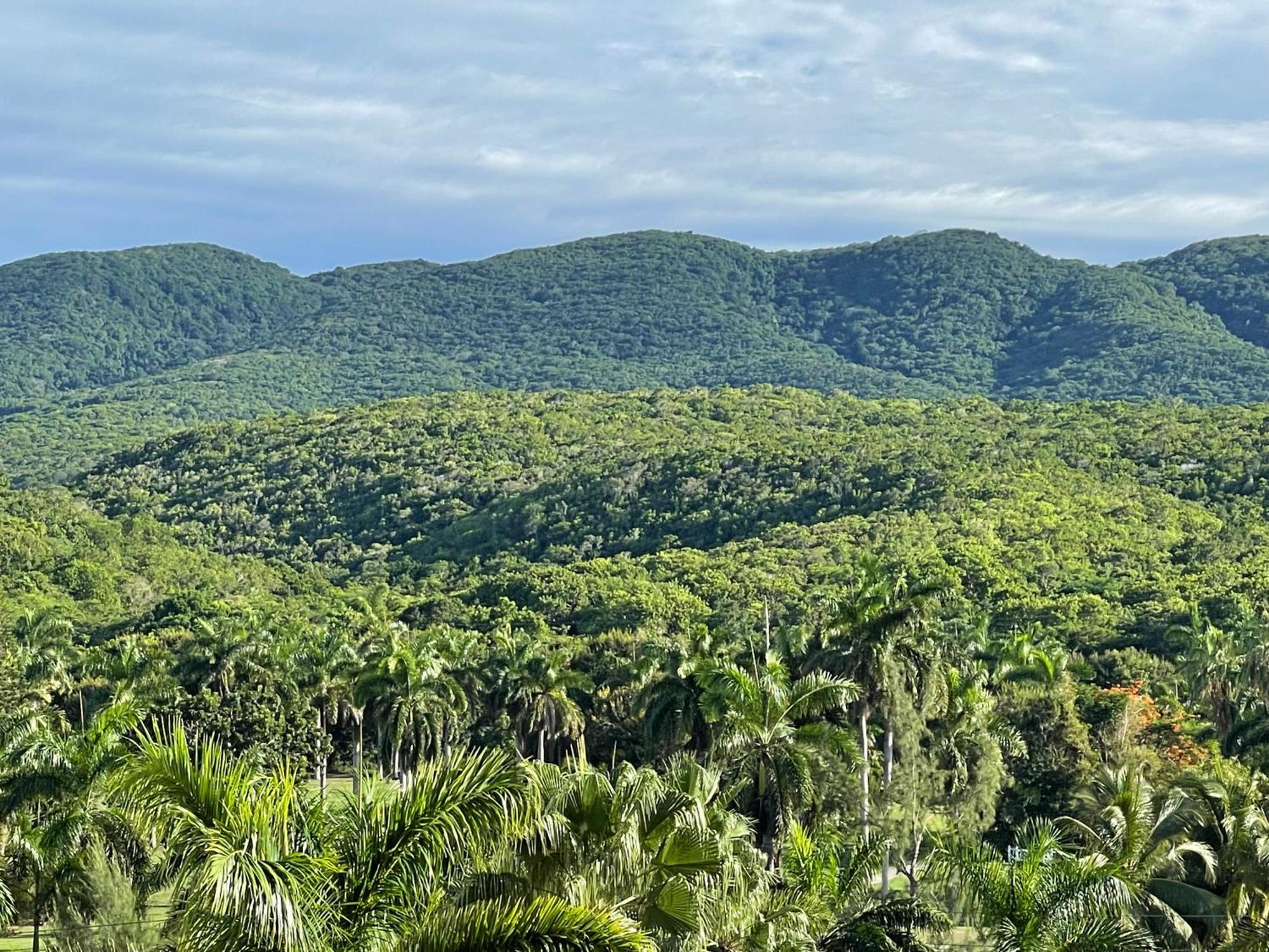 Marriott Seacastles E22, Montego Bay Lejlighedshotel Eksteriør billede